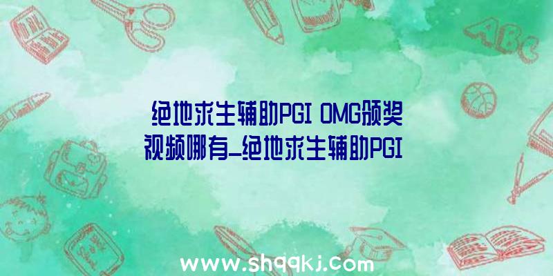 绝地求生辅助PGI